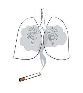 How smoking damage the lungs