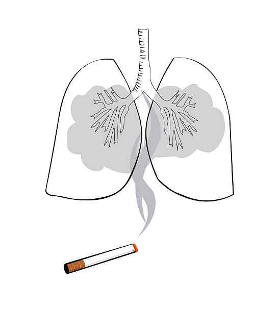 How smoking affects the lungs: Healthy Lungs Vs Smokers Lungs.